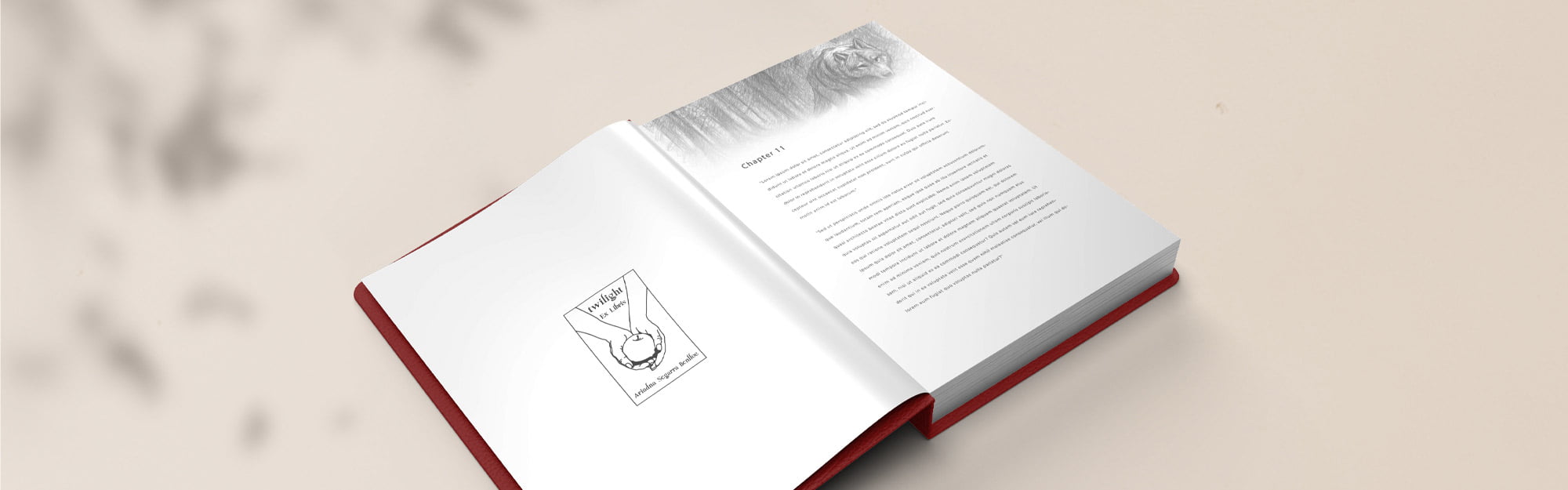 BANNER EXLIBRIS LIBROS DESIGN AND STAMP